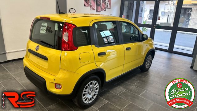 FIAT Panda usata, con Antifurto