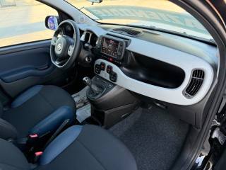 FIAT Panda Cross usata 25