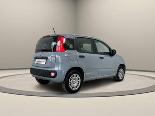 FIAT Panda usata, con Autoradio