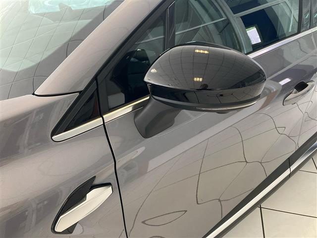 RENAULT Symbioz usata 24