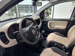 FIAT Panda usata, con Airbag testa