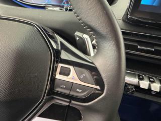 PEUGEOT 3008 usata 19