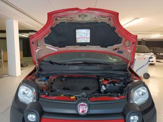 FIAT Panda Cross usata 57