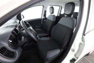 FIAT Panda usata 2