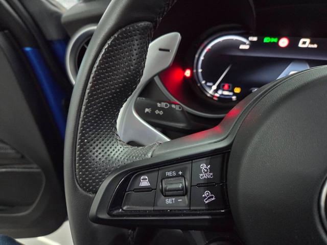 ALFA ROMEO Stelvio usata, con Cronologia tagliandi