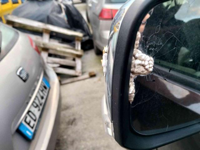 NISSAN Navara usata 10