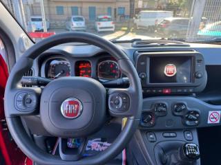 FIAT Panda Cross usata, con ESP