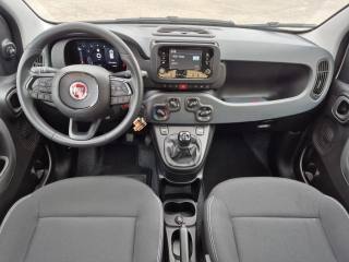 FIAT Panda usata, con Controllo trazione