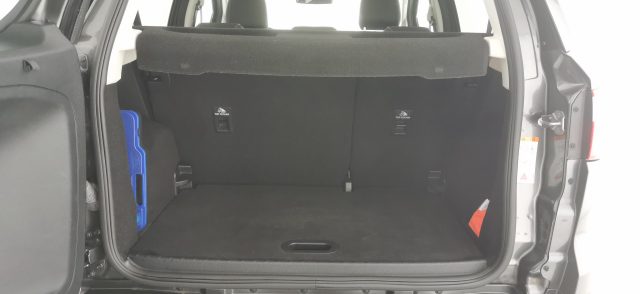 FORD EcoSport usata, con Fendinebbia