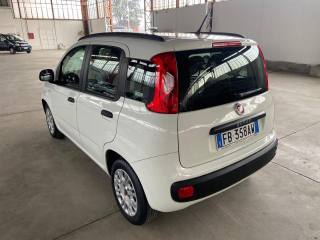 FIAT Panda usata 7