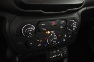 JEEP Renegade usata 15