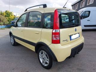 FIAT Panda usata, con Immobilizzatore elettronico