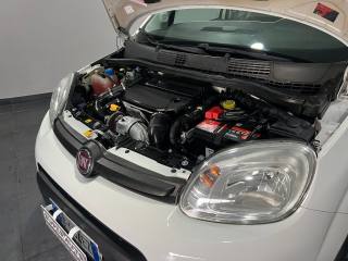 FIAT Panda usata, con Fendinebbia