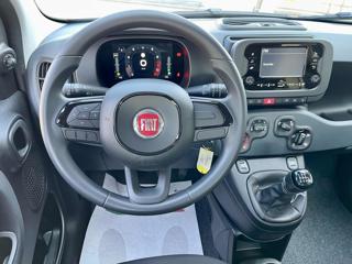 FIAT Panda usata, con Controllo vocale