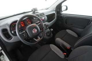 FIAT Panda usata 8