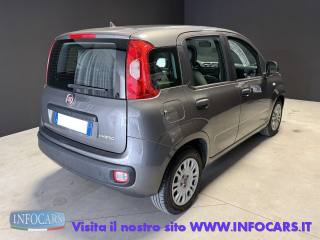 FIAT Panda usata, con Alzacristalli elettrici