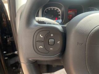 FIAT Panda usata 11