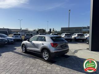 AUDI Q2 usata, con Cronologia tagliandi