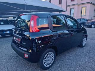 FIAT Panda usata, con Boardcomputer
