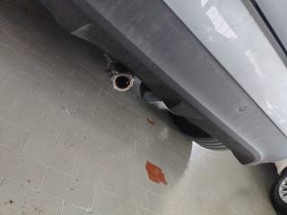 RENAULT Scenic usata, con Filtro antiparticolato