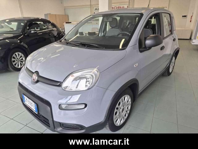 FIAT Panda usata, con Antifurto