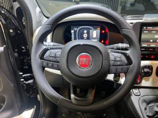 FIAT Pandina usata, con Fendinebbia