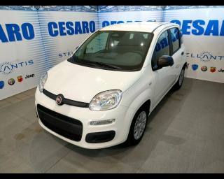 FIAT New Panda usata, con Airbag laterali