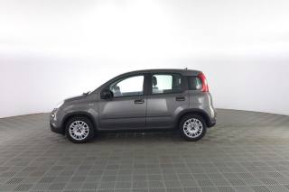 FIAT Panda usata 5