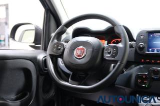 FIAT Panda usata 35