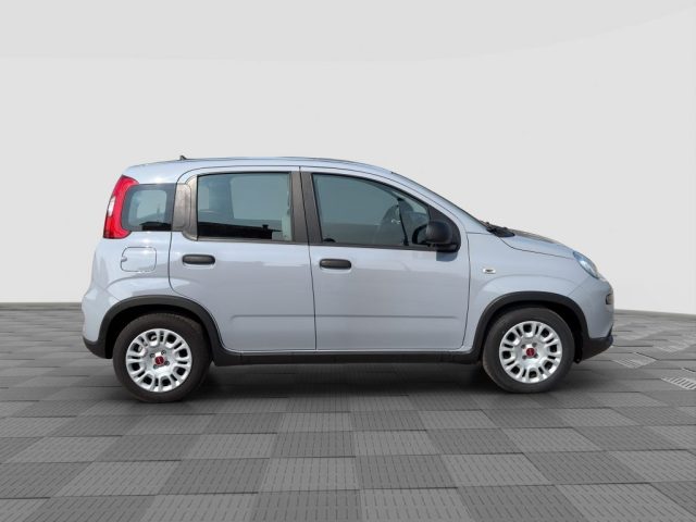 FIAT Panda usata 5