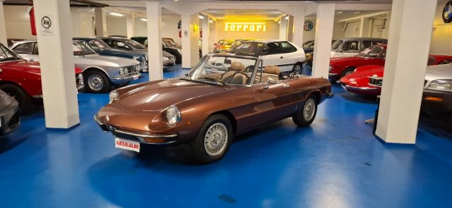 ALFA ROMEO Spider usata 0