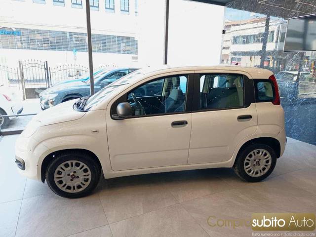FIAT Panda usata, con Alzacristalli elettrici