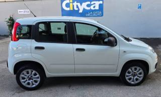 FIAT Panda usata, con Boardcomputer