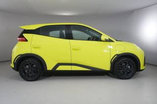 BYD Dolphin usata, con Autoradio