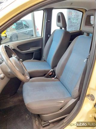 FIAT Panda usata 12