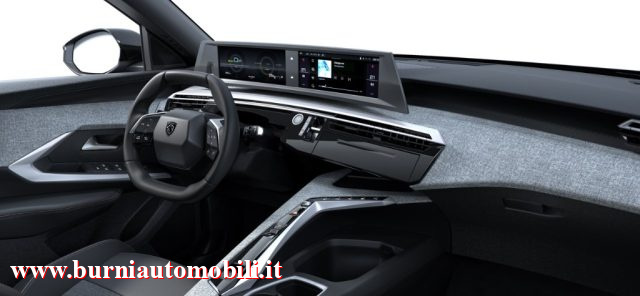 PEUGEOT 3008 usata, con Climatizzatore