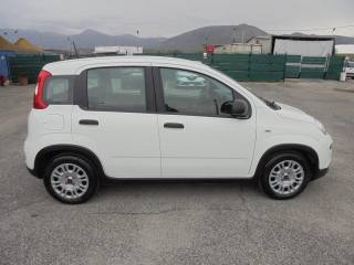 FIAT Panda usata 15
