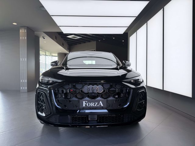 AUDI SQ5 usata, con Airbag