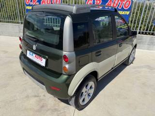 FIAT Panda usata, con Fendinebbia