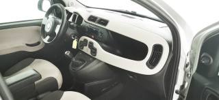 FIAT Panda usata 37