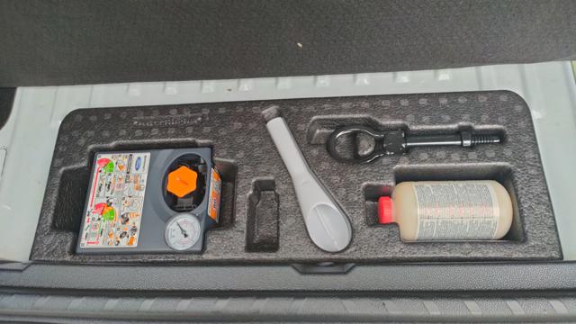 FORD EcoSport usata, con Interni in pelle