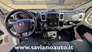 FIAT  usata 7