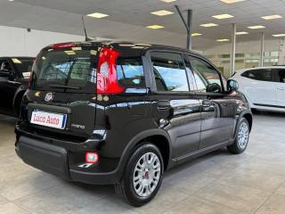FIAT Panda usata, con Boardcomputer