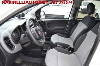 FIAT Panda usata, con Vetri oscurati