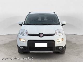 FIAT Panda usata 2