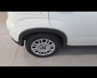 FIAT New Panda usata 14