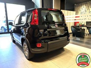 FIAT Panda usata, con Climatizzatore
