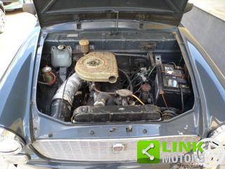 FIAT 1100 usata 20