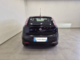 FIAT Punto Evo usata, con Alzacristalli elettrici