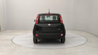 FIAT Pandina usata, con Airbag Passeggero